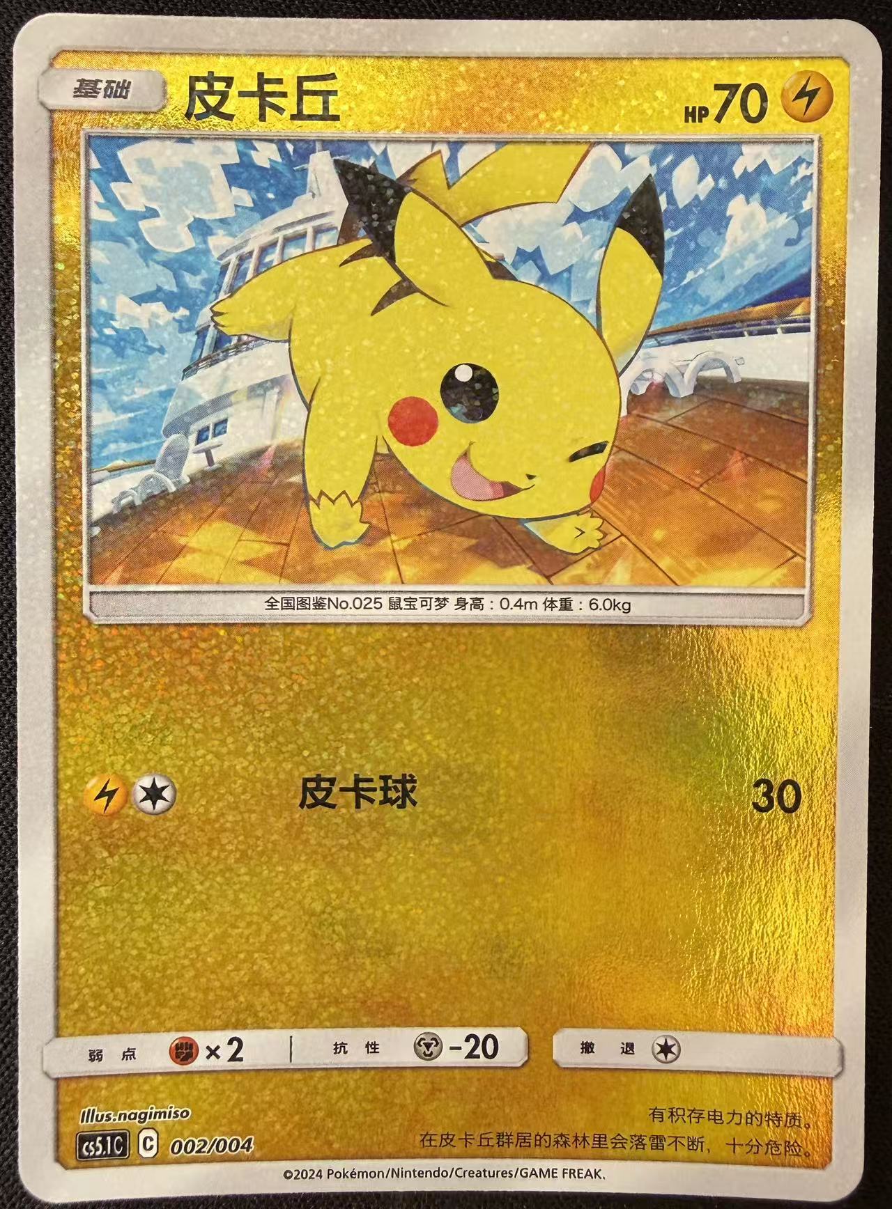 Pikachu Holo Card